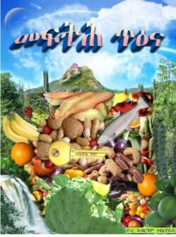 መፍትሕ ጥዕና - Mefth Tiena